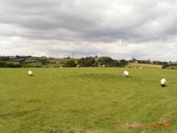 View across the fields to Whitley Lower