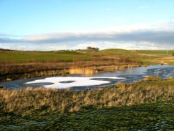 Frosty evening, Herrington Country Park. Wallpaper