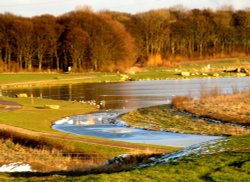 Cold, frosty evening at Herrington Country Park. Wallpaper