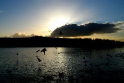 Late evening, Herrington pond. Wallpaper