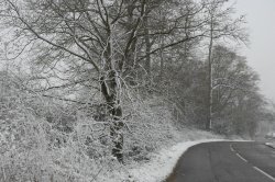 Hawkhurst, Kent
