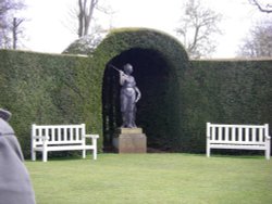 The Garden Wallpaper