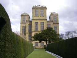 The Garden Wallpaper