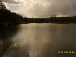 Hardwick Park Wallpaper