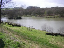 Hardwick Park Wallpaper