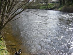 Ford, Baslow, Derbyshire