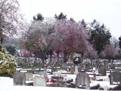 Alperton Cemetery Wallpaper