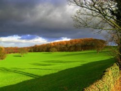 Evening sunshine Wallpaper