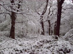 April snow, Sudbury, Greater London Wallpaper