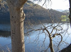 February on Ullswater.
