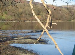 February on Ullswater.
