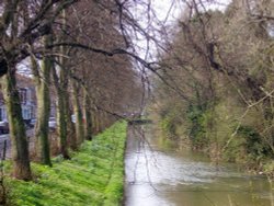 River Skerne, Darlington, County Durham Wallpaper