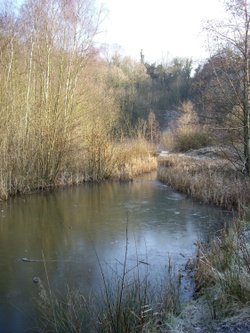 Doultons Clay Pit in Saltwells Nature Reserve