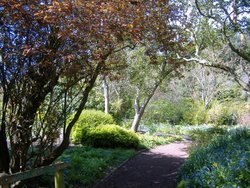 Follow the sun, Highdown Gardens Wallpaper