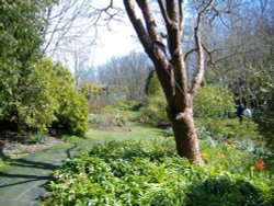 Highdown Gardens another path to get lost down Wallpaper