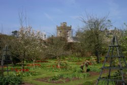 Levens Hall Gardens