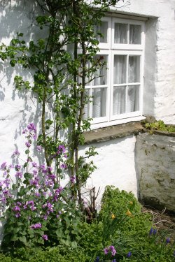 Cottage in Dent