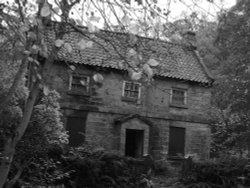 Midge Hall ,Falling Foss Wallpaper