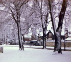 Blackwell