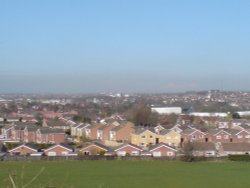 View from Berry Hill Wallpaper