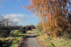 Shillingstone in Dorset Wallpaper