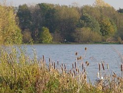 Priory Marina, Bedford