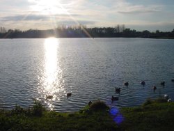Priory Marina, Bedford