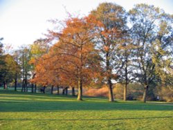 Evening at the Riverside, Chester-le-Street, Co Durham. Wallpaper
