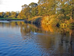 Evening at the Riverside, Chester-le-Street, Co Durham. Wallpaper