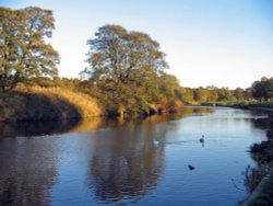 Evening at the Riverside, Chester-le-Street, Co Durham. Wallpaper