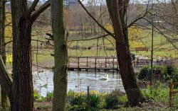 Washington Wetlands Centre, Tyne & Wear.