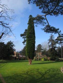 Wallingford Castle Gardens