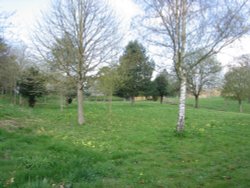 Wallingford Castle Gardens Wallpaper