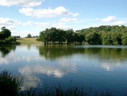 Himley Park Wallpaper