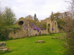 Jervaulx Abbey, North Yorkshire