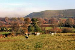 Shillingstone in Dorset Wallpaper