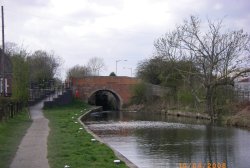 Bridge