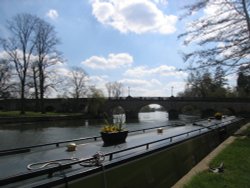 Wallingford bridge Wallpaper