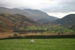 View from Castlerigg Stone Circle Wallpaper