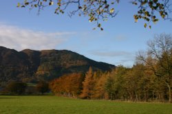 Scenery beside Bassenthwaite Lake