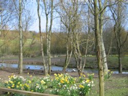 Washington Wetlands Centre.