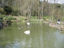 Washington Wetlands Centre.