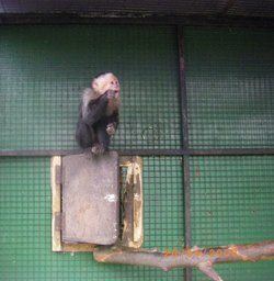 The Jungle Zoo, Cleethorpes, Lincolnshire