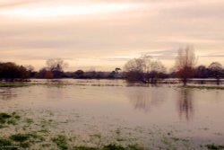 Shillingstone in Dorset Wallpaper