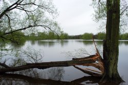Saddington Reservoir, Leicestershire Wallpaper