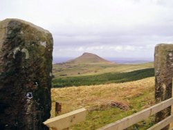 Roseberry Topping