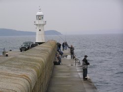 Anglers take advantage of an evening high tide at Mevagissey, Cornwall Wallpaper
