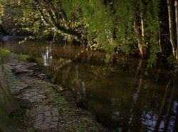 River Tillingbourne near dusk