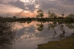 New Forest, Hampshire Wallpaper