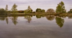 New Forest, Hampshire Wallpaper